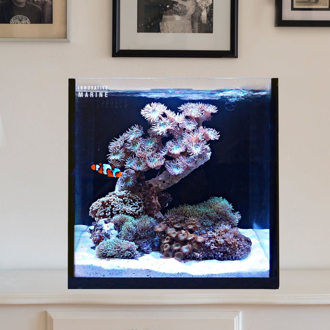 best all in one reef tank