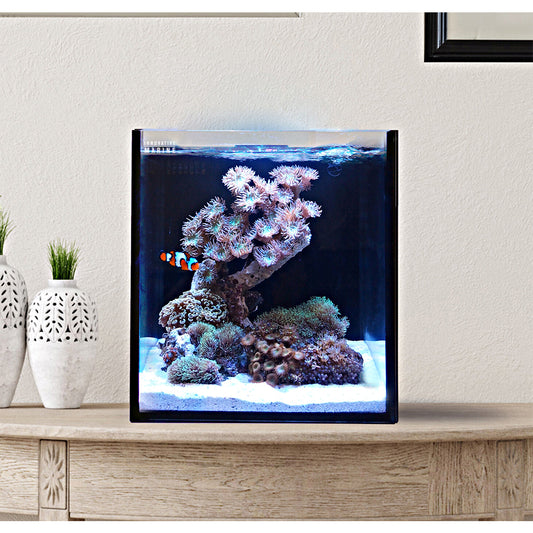 Innovative Marine Fusion 10 Gallon